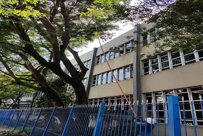 Árvore próxima à fachada de um edifício