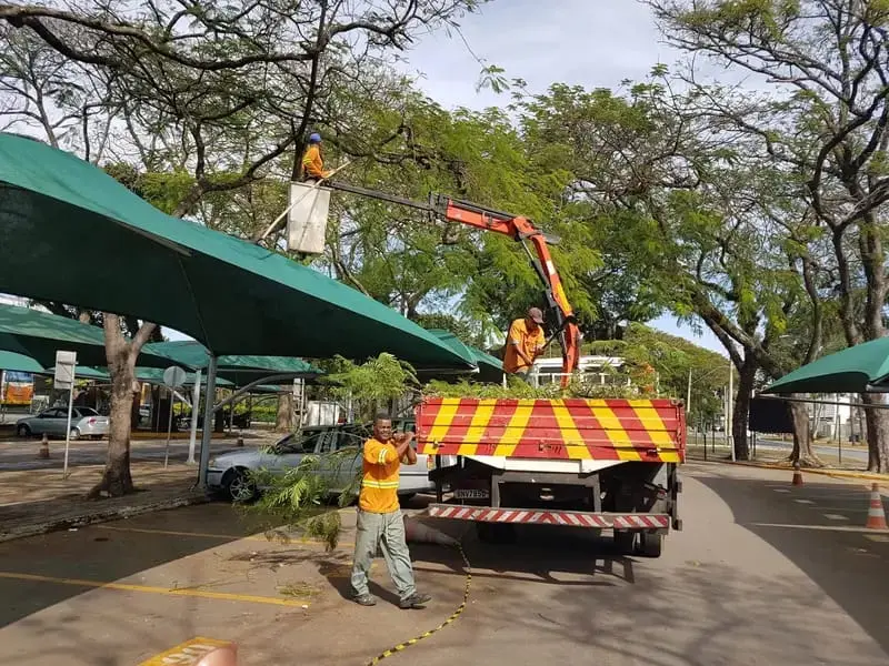 Equipe trabalhando com caminhão em operação de manejo